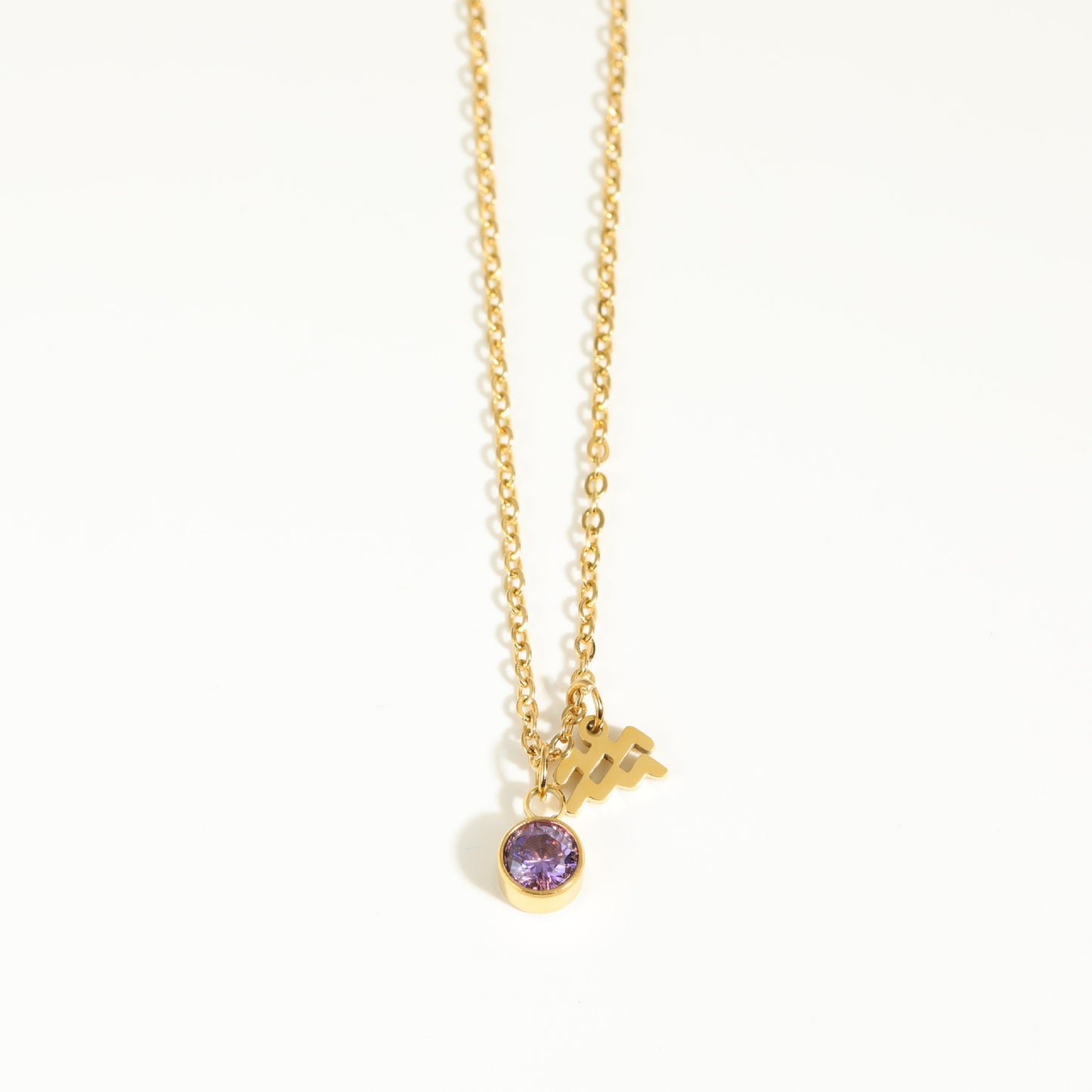 Moonora Zodiac Charm Necklace